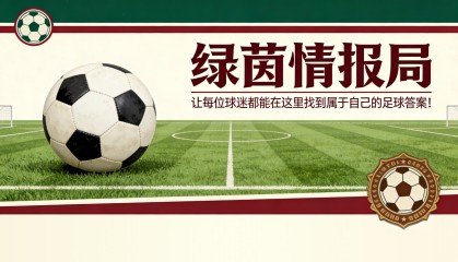 热刺罗马关注图卢兹左后卫梅塔利